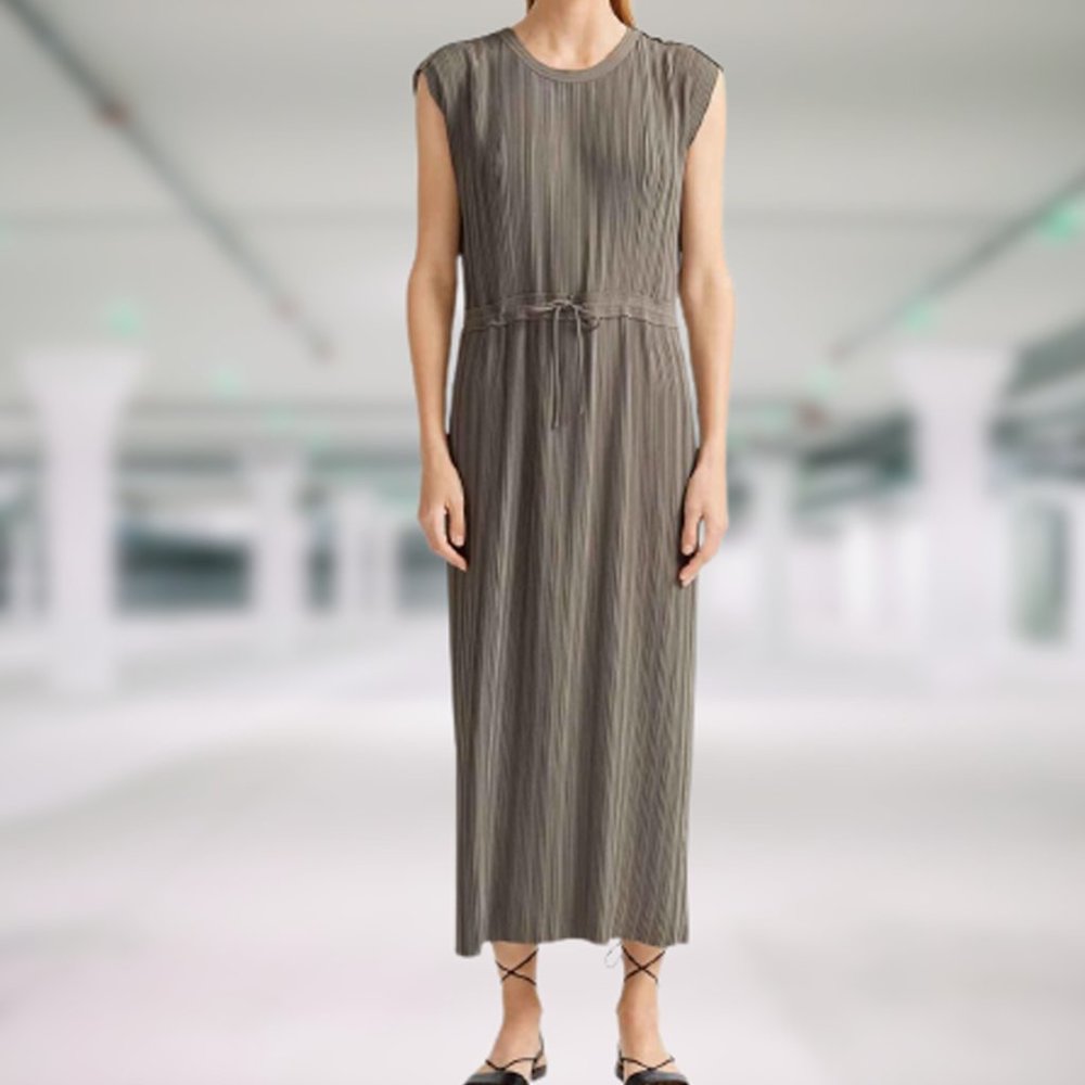 Club Monaco Pleated Dress
